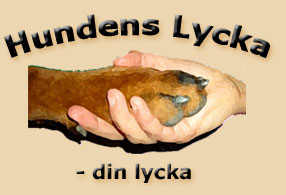 | Din Lycka